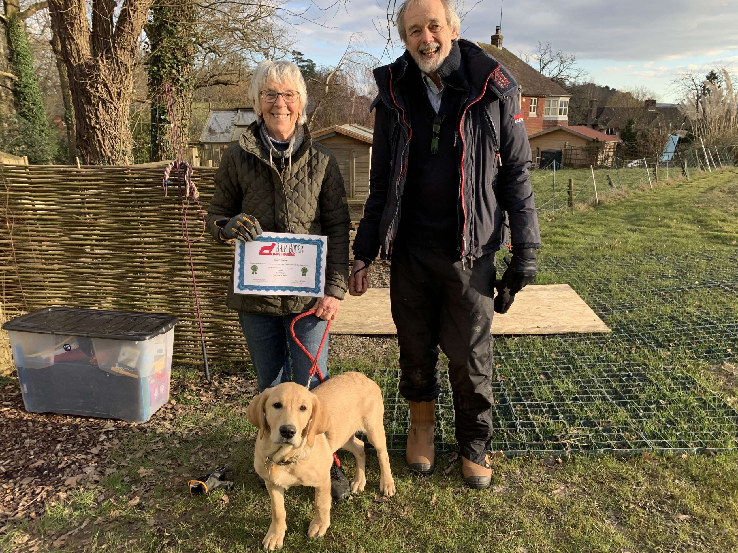 puppy classes images 1 scaled