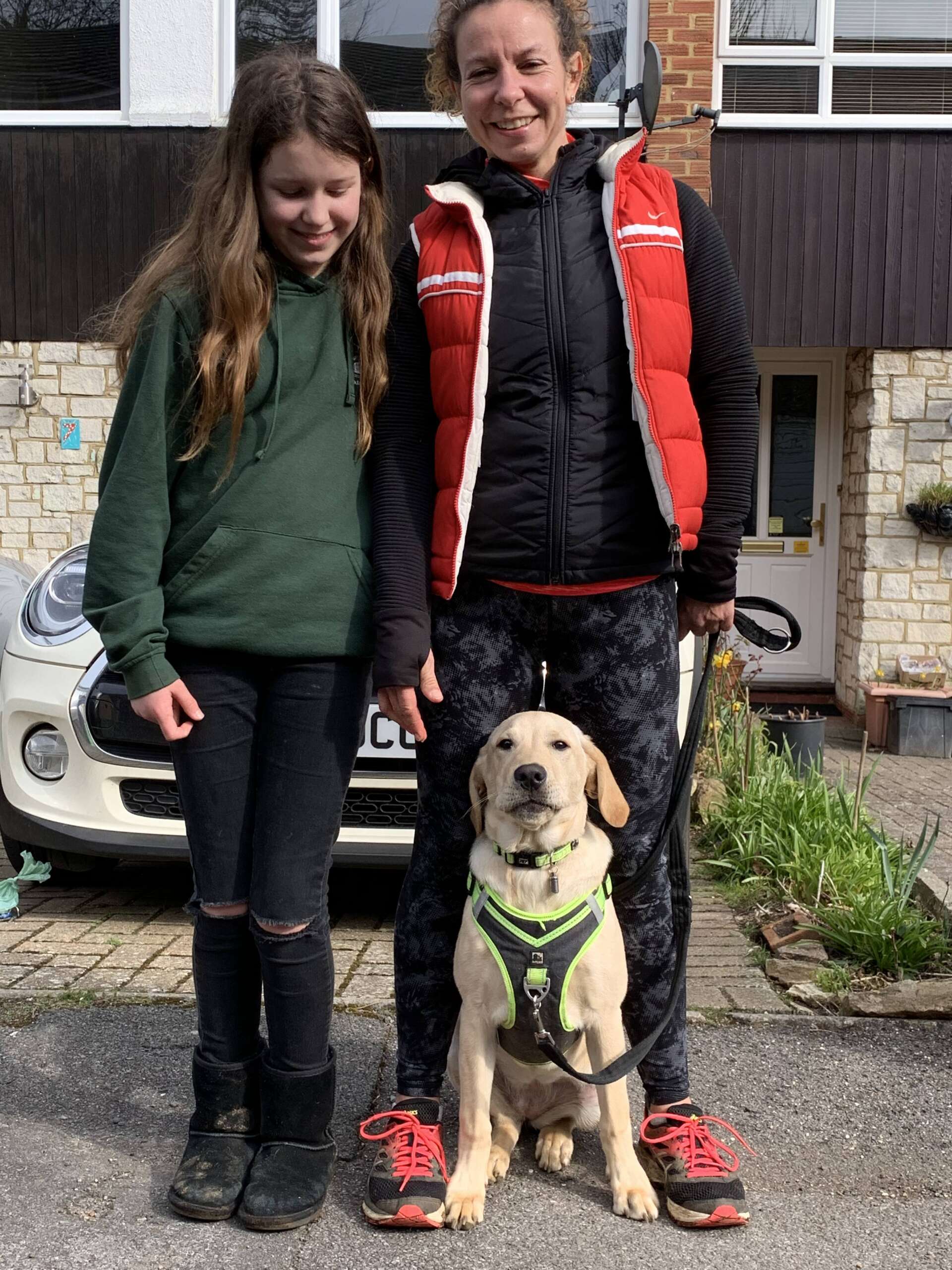 puppy classes images 5 scaled